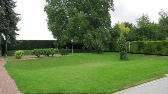 Rückseite des Anwesens