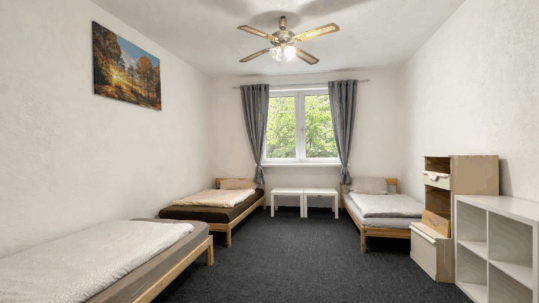Wohn- / Schlafzimmer